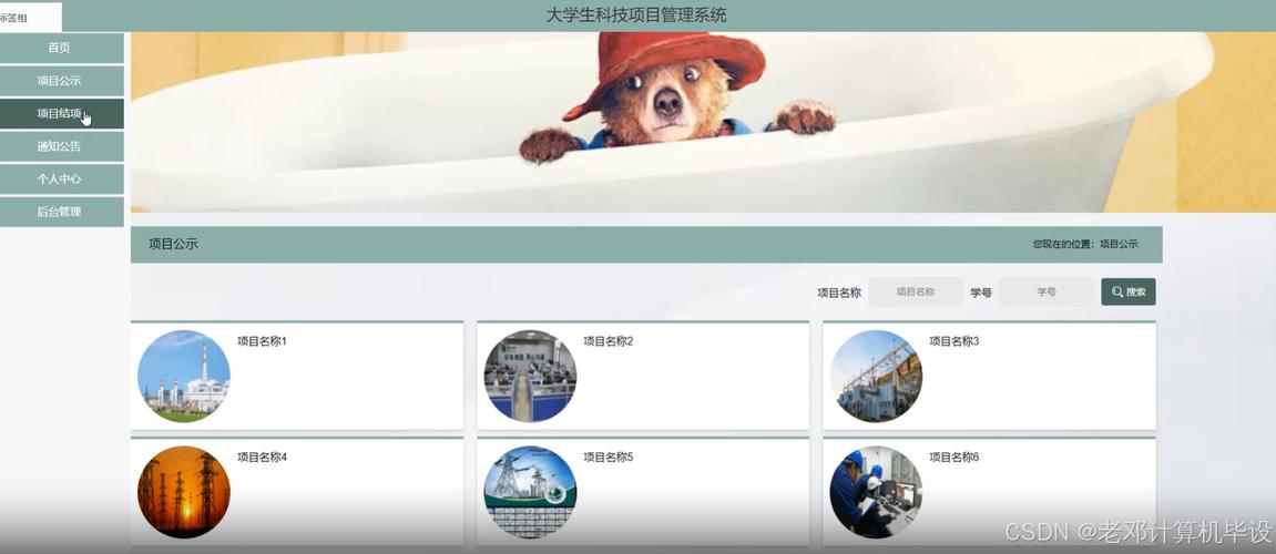 基于Spring Boot的大学生科技项目管理系统设计与实现